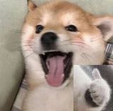 微信圖片_20240306141606 微信圖片_20240306141606